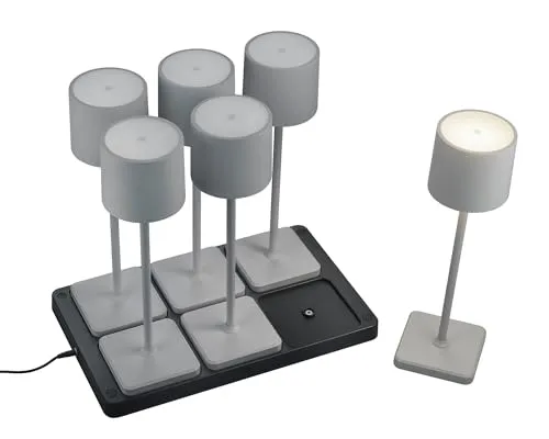 Reality Leuchten LED Akku Außen Tischleuchten Set Fernandez R54096677 - 6er Set Akku Tischleuchten mit 6er-Ladestation, individuell einstellbare Lichtfarbe und Helligkeit, ideal für den Außenbereich mit IP54 Schutz.