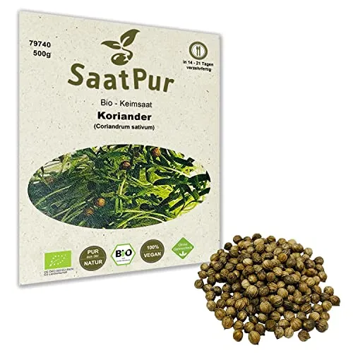 500g BIO Keimsprossen Koriander Keimsaat Sprossensaat Microgreens Keimling Sprossen