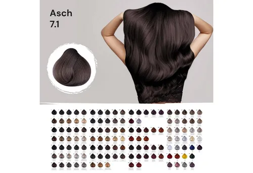 Femmas Premium Haarfarbe FemMas Hair Color Cream 100ml Haarfarbe