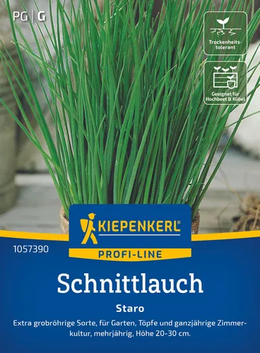 Schnittlauch Staro Samen von Kiepenkerl