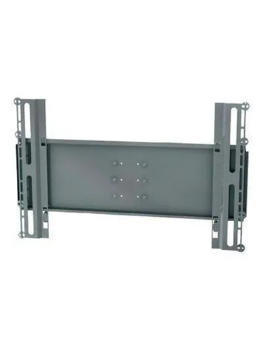 SMS Flatscreen H2 Unislide 50 kg 200 x 100 mm