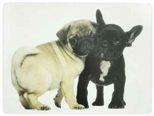 Große Tischsets für Hundeliebhaber - Mops & Französische Bulldogge - Tischsets aus Kork, abwaschbar und hitzebeständig bis 100 Grad. Ideal für Tierfreunde, die ihr Zuhause stilvoll und praktisch gestalten möchten.