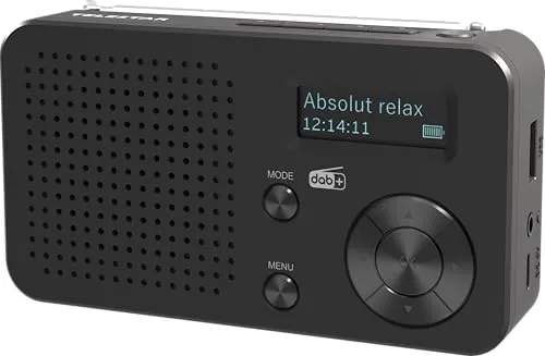 TELESTAR TOP 100 DAB+ UKW Radio - Kompakt-Stereoanlagen mit Akku für flexiblen Digitalradio-Empfang überall und jederzeit.
