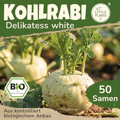 Little Plants BIO Kohlrabi Samen 50 Kohlrabisamen Delikatess White Gemüsesamen Gemüsesaatgut Samenfest für Gemüsegarten, Hochbeet, Küche, Balkon und Garten