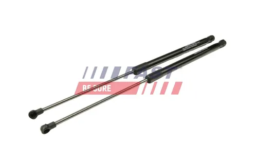 Fast Gasfeder, Koffer-/Laderaum FT00182