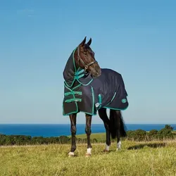 Weatherbeeta Green-Tec 900D Detach-A-Neck Medium 220g - Schwarz/Grün - Hochwertige Abreitdecke aus 900 Denier PCR-Material, schützt Dein Pferd vor Wind und Wetter. Nachhaltig produziert mit recycelten Plastikflaschen. Atmungsaktiv, wasserdicht und mit abnehmbarem Halsteil für optimalen Komfort.