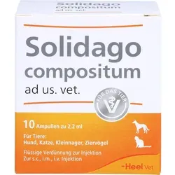 Solidago compositum ad us. vet. - Homöopathisches Arzneimittel für Tiere - Tiergesundheit: Registriertes homöopathisches Arzneimittel zur Unterstützung der Tiergesundheit ohne spezifische therapeutische Indikation.