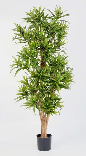 Kunstbaum Dracaena Reflexa YASU, 150 cm, schwer entflammbar - Der Kunstbaum Dracaena Reflexa YASU bringt mit seinen 1270 Blättern Farbe in jeden Raum. Ideal für die Innenraumgestaltung und schwer entflammbar, sorgt er für Sicherheit und Stil in Ihrem Zuhause.