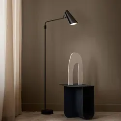 Birdy Stehleuchte Swing Black/Black - Elegante Designklassiker - Stehleuchte in modernistischem Stil, seit 60 Jahren bewährt und preisgekrönt. Ideal für stilvolle Beleuchtung in jedem Raum.