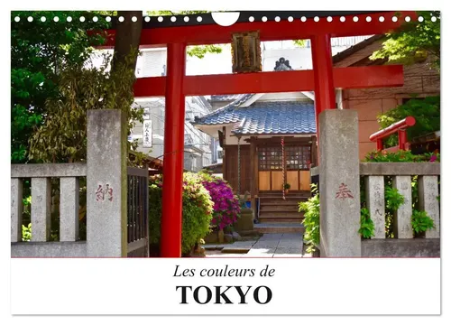 Christophe Vacher | Les couleurs de Tokyo (Calendrier mural 2025 DIN A4...