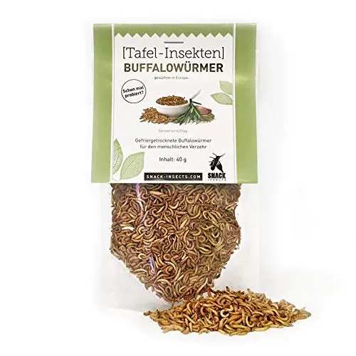 Buffalowürmer - essbare Insekten von 'SNACK insects' - 40g feine Speise-Insekten zum Kochen und Essen