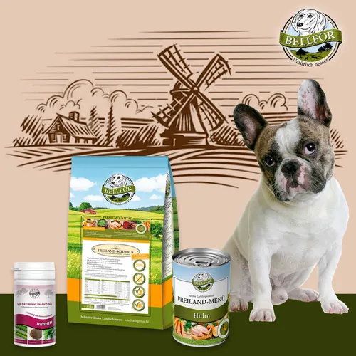 Bellfor Hundefutter Trocken 2,5 kg & Nassfutter 400g mit Immunsystem Pulver - Vielseitiges Hundefutter-Set mit getreidefreiem Trockenfutter, schmackhaftem Nassfutter und hochwertigem Immunsystem Pulver für gesunde Ernährung. Ideal für alle Hundegrößen und -alter.