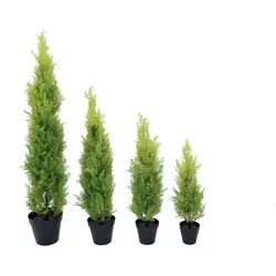 EUROPALMS Zypresse, Leyland, 120cm - Dekoartikel, realistische und pflegeleichte Kunstpflanze für eine ansprechende Raumgestaltung