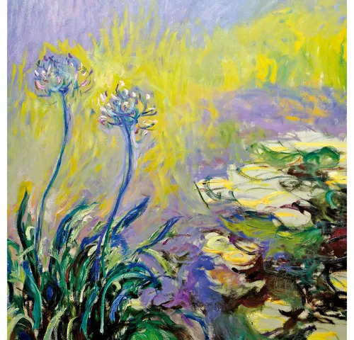 1art1 Poster Claude Monet Kunstdruck Bild - Schmucklilien, Agapanthus