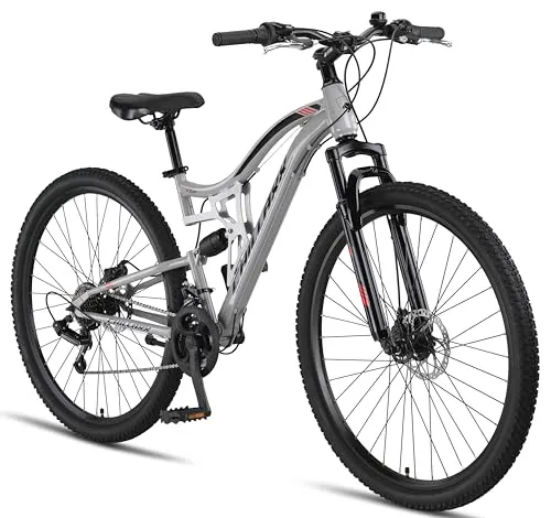 Chillaxx Mountainbike 29 Zoll - Fahrrad mit robustem Rahmen in Grau, ausgestattet mit Disc-Bremsen für optimale Sicherheit und einem zulässigen Gesamtgewicht von 95 kg, ideal für Abenteuer auf und abseits der Straße.