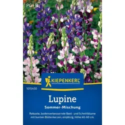 Kiepenkerl Lupinensamen Sommer Lupinus hartwegii 40 Pflanzen