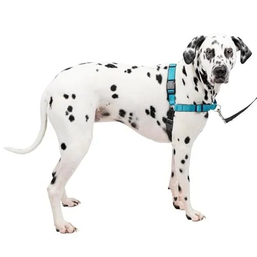 PetSafe Easy Walk Deluxe-Geschirr, reißfestes Gehgeschirr für Hunde, gepolstertes Design, inkl. 1,8 m Leine, Large-Ozeanblau/Schwarz