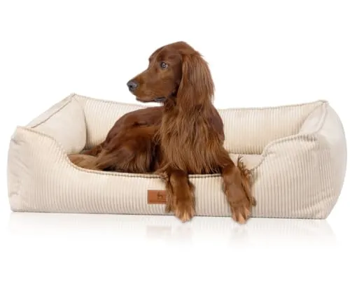 Knuffelwuff Hundebett Nunavut Orthopädisch Cord XL 105 x 75cm Beige - Hundekörbchen mit orthopädischer Liegefläche für optimalen Schlaf und Gelenkschutz. Hygienisch waschbarer Bezug und dicke Polsterung für höchsten Komfort.
