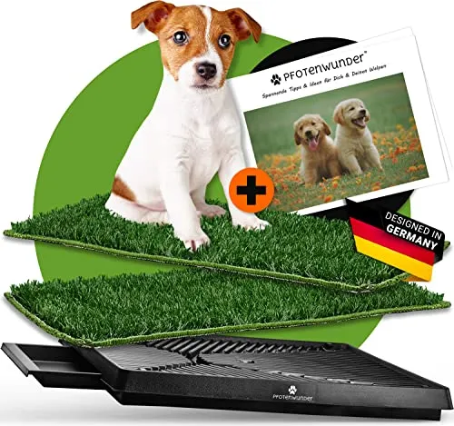 Hundeklo Hundetoilette für kleine & große Hunde - Welpenerziehung mit 2x EASy-WASH-Rasen für einfache Reinigung und 16-seitiger Anleitung für eine stressfreie Gewöhnung.