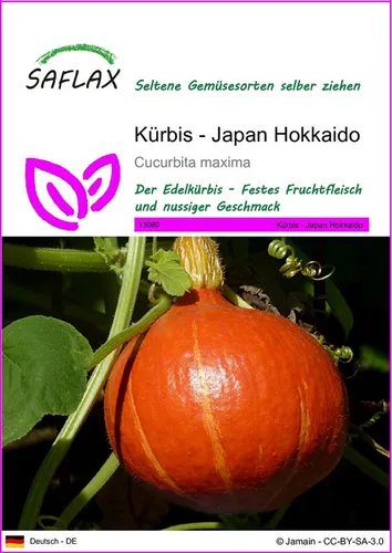 SAFLAX Gemüsesamen SAFLAX - Samen - Kürbis - Japan Hokkaido