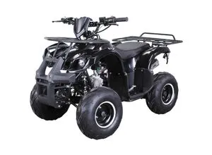 Original Actionbikes Motors Kinder Quad S-8 Farmer - 4-Takt 125 cc, bis zu 50 km/h, sicher mit Not-Aus-Leine und drosselbarem Daumengas