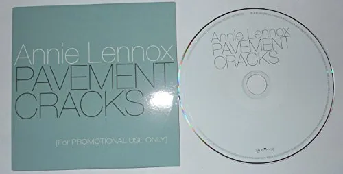 Pavement Cracks - 1 Track Promo