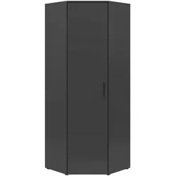 Carryhome Eckschrank MULTISTAURAUM - Modernes Graphit-Design - Kleiderschrank in elegantem Graphit, platzsparend und ideal für kleine Räume. Mit Drehtür und stilvollem Bügelgriff, vereint er Ästhetik und Funktionalität.