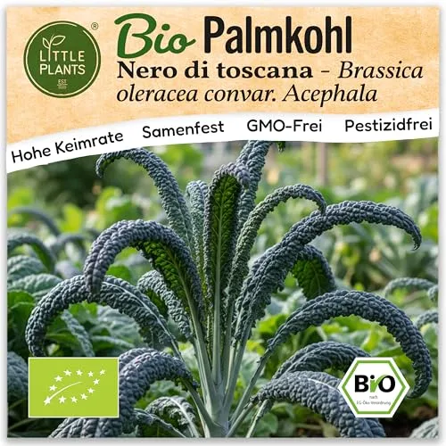 Little Plants BIO Palmkohl Samen 75 Palmkohlsamen Nero di Toscana Schwarzkohl Gemüsesamen Gemüsesaatgut für Gemüsegarten, Hochbeet, Küche, Balkon und Garten