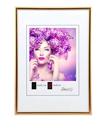 IDEAL TREND New Lifestyle Kunststoff Bilderrahmen Kunststoffrahmen Bildhalter Bildträger: Farbe: Bronze | Format: 50x60