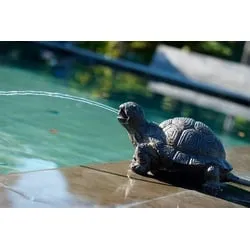 Ubbink Wasserspeier Schildkröte - Teichdekoration - Naturgetreue Wasserspeier Schildkröte aus Polyresin, ideal für Ihren Garten oder Teich. Mit einer maximalen Fördermenge von 900 l/h sorgt sie für einen schönen Wasserspiel-Effekt.