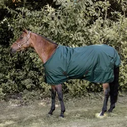 Kentucky Horsewear All Weather Turnout 160g - Dunkelgrün, 125 - Elegante Weidedecke mit 160 g Füllung, aus robustem 1680 D High Tenacity Polyester. Ideal für kältere Temperaturen, mit weich unterlegten Reibungspunkten für optimalen Komfort und Schutz.