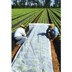 Gartenvlies Schutzvlies 1,6 x 5m für Gemüsebeete - Hochwertiges Gartenvlies 1,6 x 5m, ideal zum Schutz von Gemüsebeeten. Es lässt Licht und Luft durch und schützt vor Kälte, Schädlingen und Überhitzung. Einfache Handhabung und vielseitig einsetzbar.