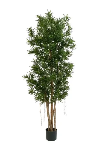 Kunstbaum Künstlicher Podocarpus Reflexa- Paul, 210 cm, aplanta