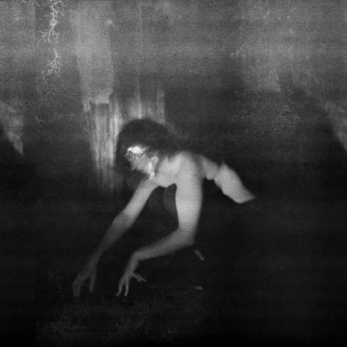 Demande A La Poussiere Quietude Hostile (Vinyl)