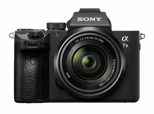 Sony Alpha ILCE-7 III + Sony Akku NP-FZ100 - Vollformat Systemkamera mit 24 MP, 5-Achsen Bildstabilisierung für perfekte Aufnahmen und längere Fotografie-Sitzungen
