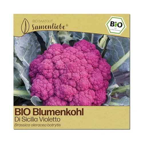 Samenliebe BIO Blumenkohl Samen | Di Sicilia Violetto - italienisch & violett - samenfestes BIO Saatgut