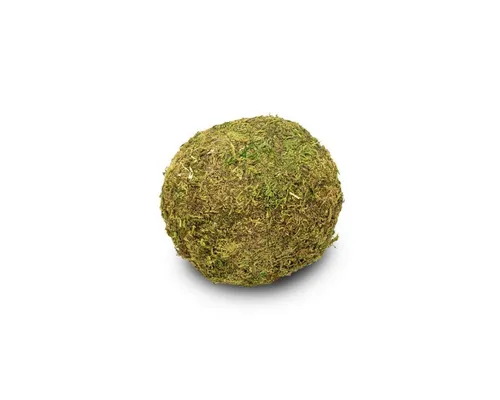 NaDeco Bastelnaturmaterial Moos Ball Ø 15cm – Handgefertigte Mooskugel aus Asia Moos