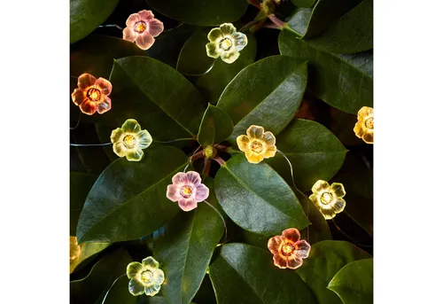 Lights4fun LED-Lichterkette 20er Micro Lichterkette außen bunte Rosen