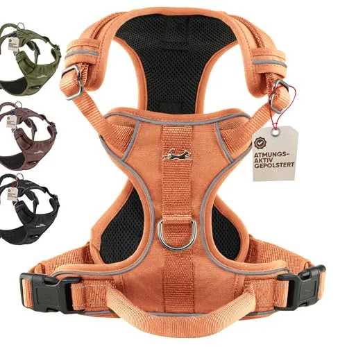 FREUDENTIER Hundegeschirr mit Mesh-Polsterung - Komfort & Sicherheit für alle Hunderassen - Weiteres Autozubehör: Das Freudentier Hundegeschirr bietet höchsten Komfort, einen bombenfesten Sitz und eine Anti-Zug-Funktion für entspannte Spaziergänge. Ideal für kleine bis große Hunde und wetterfest.