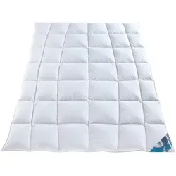 Häussling Hjemme hygge Kassettenbett extra warm - Bettdecken aus 100% Baumwolle mit Daunen-Federmischung, ideal für kalte Winternächte. Größe 135 x 200 cm für optimalen Komfort.