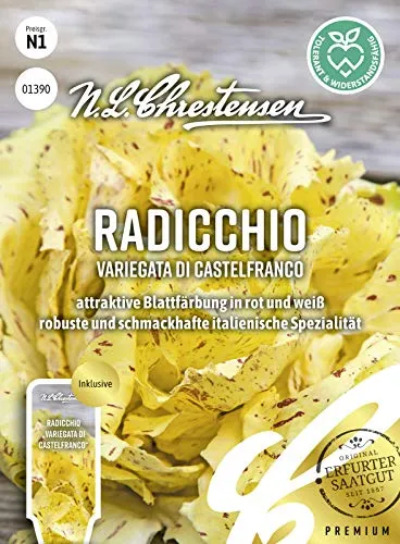 Radicchio Variegata di Castelfranco, attraktive Blattfärbung in rot und weiß, Samen