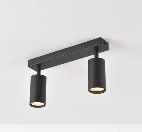 LED 2-flammig Deckenleuchte schwenkbar TWIN schwarz
