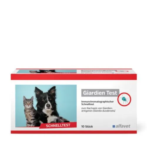 Giardien Schnelltest 10 Stk Alfavet – Hund & Katze, Ergebnis 10 Min
