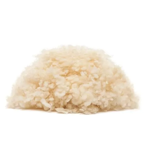 STEINBACH Filter Wool Flakes 1400 g - Poolfilter aus 100% Schurwolle, ersetzt 50 kg Filtersand und sorgt für exzellente Wasserqualität. Ideal für handelsübliche Sandfilteranlagen und salzwassergeeignet.