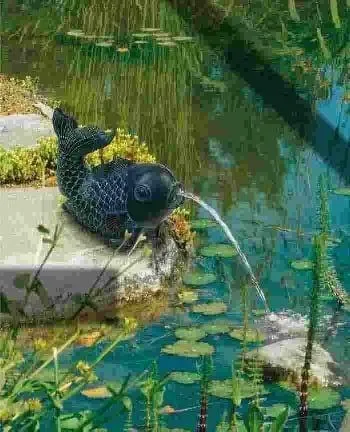 Heissner Teichfigur mit Speierfunktion Fisch 18 x 16 x 13 cm - Teichdeko & Wasserspiele, dekorativer Fisch mit Speierfunktion für lebendige Wasserspiele in Ihrem Garten.