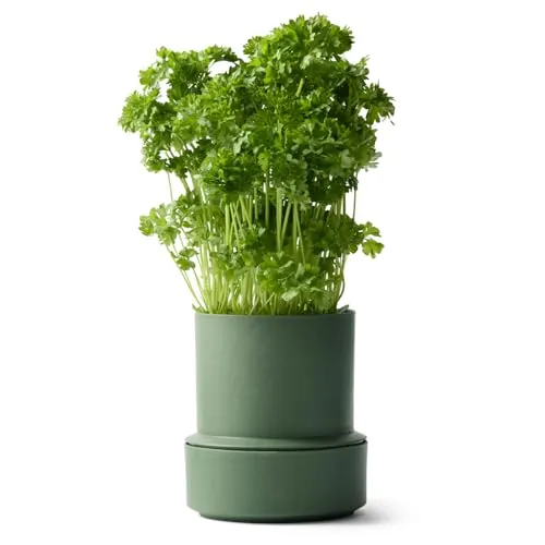 Crushgrind Billund Blumentopf mit Bewässerungssystem Grün | Self Watering Pot für Kräuter & Pflanzen mit 9 cm Ø | Selbstbewässerungstopf aus hochwertigen, nachhaltigen Materialien (Parsley)