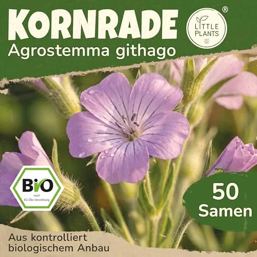 Little Plants BIO Kornrade Samen 50 Kornnelke Blumensamen Kornrose Samenfest für Blumengarten Blumen Saatgut Balkon und Garten