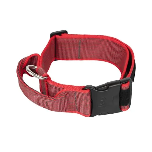 JULIUS K-9 200HA-K-R-2015 Color & Gray K9-Halsband - Verstellbares K9-Halsband mit Haltegriff und Sicherheitsverschluss für optimalen Halt. Ideal für aktive Hunde. Größe: 50 mm, 49-70 cm.