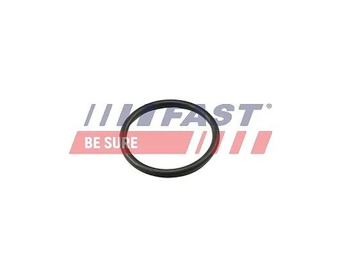 Fast Dichtung, Thermostat FT49917