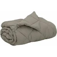 vidaXL Ganzjahresbettdecke Hellgrau 240 x 260 cm - Moderne Ganzjahresbettdecke aus weicher Mikrofaser, ideal für jeden Schlafbereich. Sie ist knitterfrei, feuchtigkeitsabsorbierend und pflegeleicht – für ein gemütliches Schlaferlebnis das ganze Jahr.